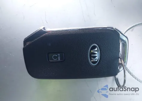 2021 Kia Telluride Ex from USA, damaged, VIN 5XYP3DHC6MG127833